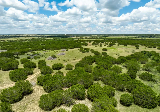 Homes for sale in Jonesboro, TX | 11439 Fm 1602 (124), Jonesboro, TX 76538 | MLS# 21222809