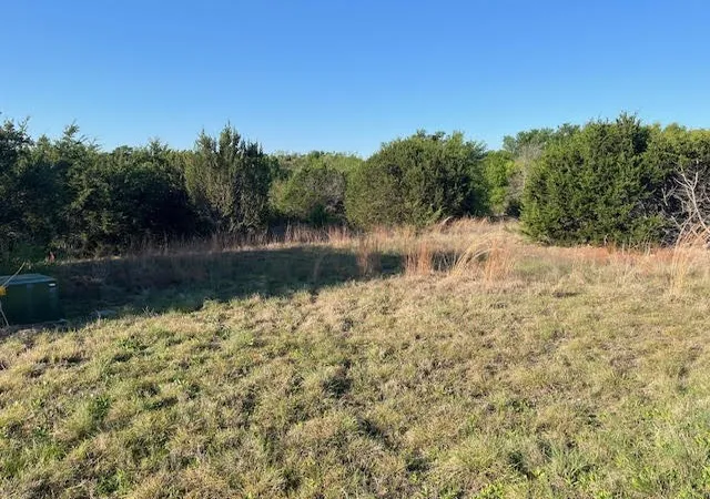 Homes for sale in Cresson, TX | 207 Morning Dove Ct, Cresson, TX 76035 | MLS# 21222176