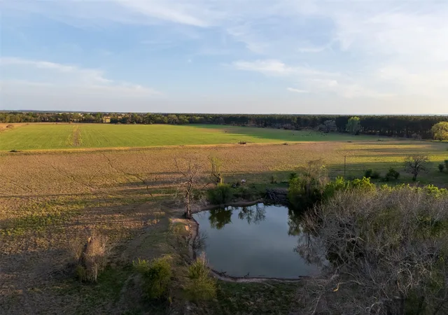 Homes for sale in Elkhart, TX | 00 County Rd 117, Elkhart, TX 75839 | MLS# 21223231