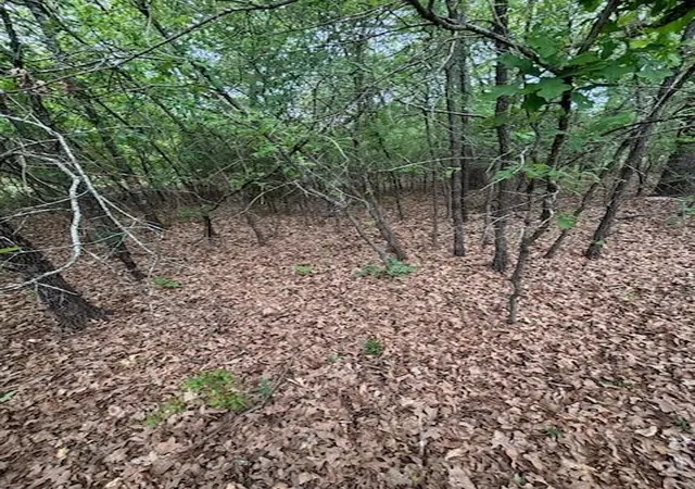 Photo 2 of Land for sale at 46 April Cvs, Streetman, TX 75859 | MLS# 21223392 | Listing updated on 2026-08-29