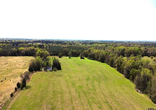 Photo 1 of Land for sale at 808 W Fm 1519, Pittsburg, TX 75686 | MLS# 21220414 | Listing updated on 2026-08-19
