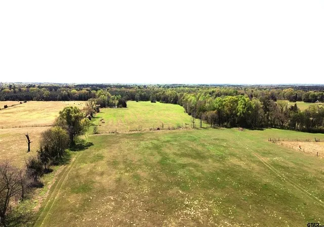 Photo 3 of Land for sale at 808 W Fm 1519, Pittsburg, TX 75686 | MLS# 21220414 | Listing updated on 2026-08-19