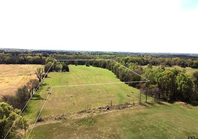 Photo 4 of Land for sale at 808 W Fm 1519, Pittsburg, TX 75686 | MLS# 21220414 | Listing updated on 2026-08-19