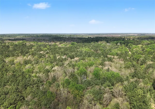 2nd image of 31 +/  Ac Cr 2108, Hooks, TX 75561 | MLS# 21223917