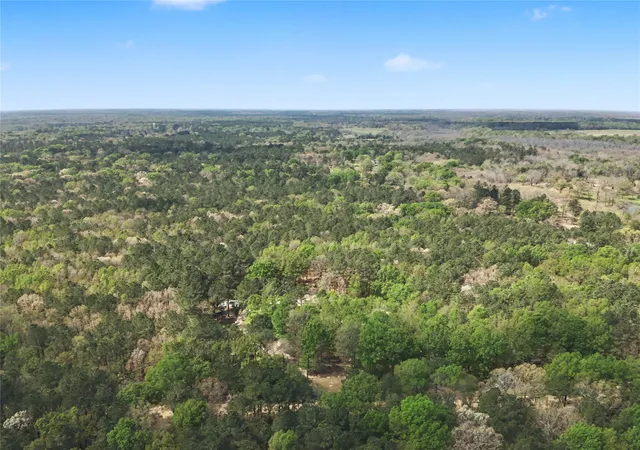 3rd image of 31 +/- Ac Cr 2108, Hooks, TX 75561 | MLS# 21223917