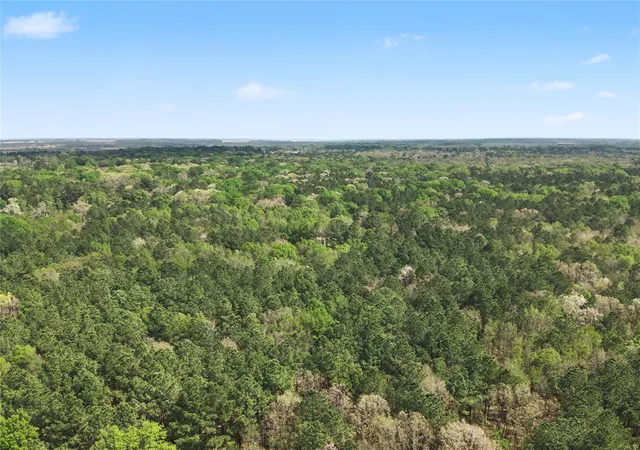 5th image of 31 +/- Ac Cr 2108, Hooks, TX 75561 | MLS# 21223917