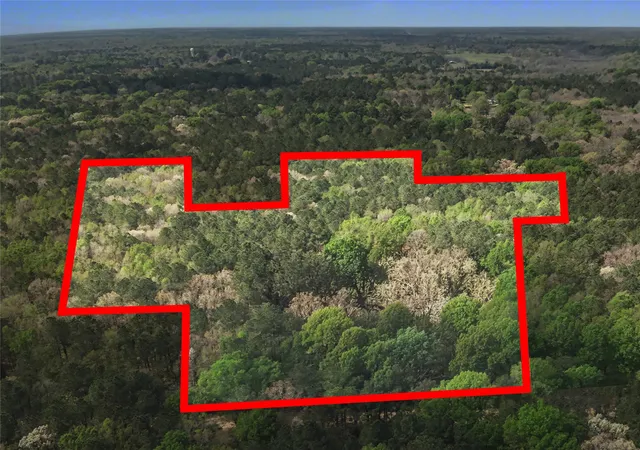 8th image of 31 +/  Ac Cr 2108, Hooks, TX 75561 | MLS# 21223917