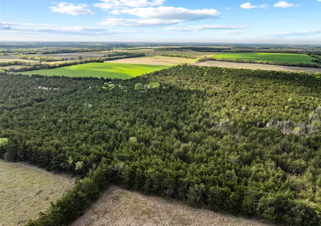 Photo 1 of Land for sale at Tbd Fm 198, Cooper, TX 75432 | MLS# 21223032 | Listing updated on 2026-09-18