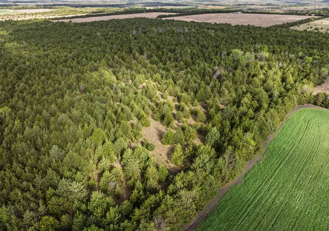 Photo 2 of Land for sale at Tbd Fm 198, Cooper, TX 75432 | MLS# 21223032 | Listing updated on 2026-09-18