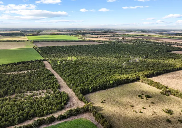 Photo 3 of Land for sale at Tbd Fm 198, Cooper, TX 75432 | MLS# 21223032 | Listing updated on 2026-09-18