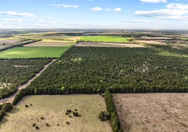 Photo 3 of Land for sale at Tbd Fm 198, Cooper, TX 75432 | MLS# 21223032 | Listing updated on 2026-09-18