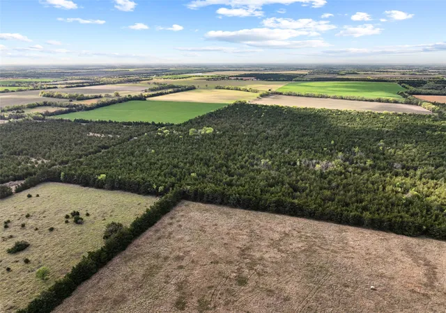 Photo 4 of Land for sale at Tbd Fm 198, Cooper, TX 75432 | MLS# 21223032 | Listing updated on 2026-09-18