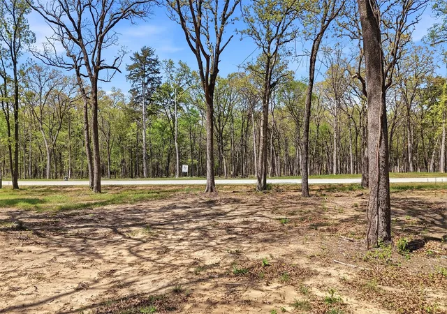Photo 1 of Land for sale at Lot 13 Buck Trail Rd, Pottsboro, TX 75076 | MLS# 21224264 | Listing updated on 2026-10-06