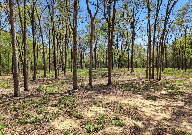 Photo 2 of Land for sale at Lot 13 Buck Trail Rd, Pottsboro, TX 75076 | MLS# 21224264 | Listing updated on 2026-10-06