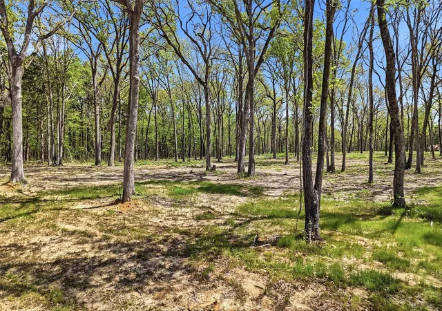 Photo 3 of Land for sale at Lot 13 Buck Trail Rd, Pottsboro, TX 75076 | MLS# 21224264 | Listing updated on 2026-10-06