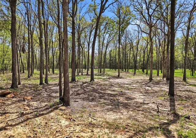 Photo 3 of Land for sale at Lot 13 Buck Trail Rd, Pottsboro, TX 75076 | MLS# 21224264 | Listing updated on 2026-10-06
