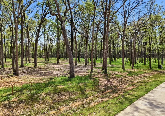 Photo 4 of Land for sale at Lot 13 Buck Trail Rd, Pottsboro, TX 75076 | MLS# 21224264 | Listing updated on 2026-10-06