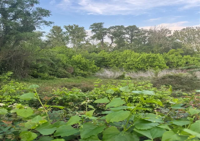Photo 4 of Land for sale at 0000 Old Mooringsport Rd, Shreveport, LA 71107 | MLS# 21224263 | Listing updated on 2026-08-17