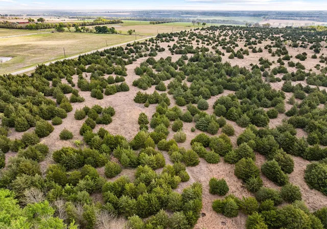 5th image of Tbd Fm 128, Cooper, TX 75432 | MLS# 21224341