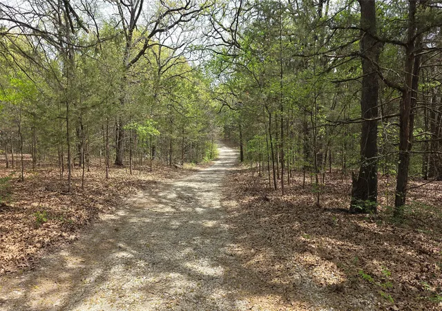 Photo 2 of Land for sale at 1975 County Road 1025, Ravenna, TX 75476 | MLS# 21224778 | Listing updated on 2026-08-18