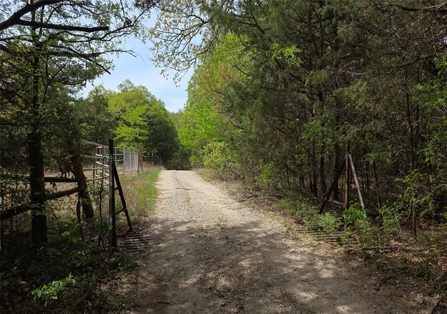 Photo 3 of Land for sale at 1975 County Road 1025, Ravenna, TX 75476 | MLS# 21224778 | Listing updated on 2026-09-26