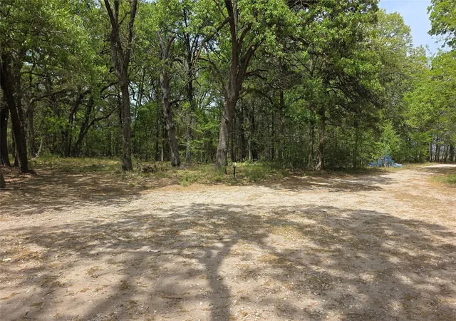 Photo 4 of Land for sale at 1975 County Road 1025, Ravenna, TX 75476 | MLS# 21224778 | Listing updated on 2026-09-26