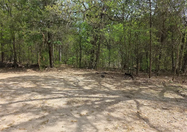 Photo 7 of Land for sale at 1975 County Road 1025, Ravenna, TX 75476 | MLS# 21224778 | Listing updated on 2026-08-18