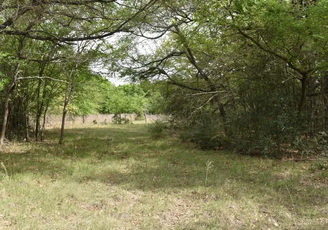 Photo 2 of Land for sale at Tbd Mitchell Rd, Kosse, TX 76653 | MLS# 21224252 | Listing updated on 2026-08-24