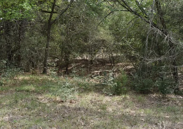 Photo 3 of Land for sale at Tbd Mitchell Rd, Kosse, TX 76653 | MLS# 21224252 | Listing updated on 2026-08-24