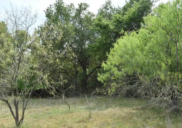 Photo 3 of Land for sale at Tbd Mitchell Rd, Kosse, TX 76653 | MLS# 21224252 | Listing updated on 2026-08-24