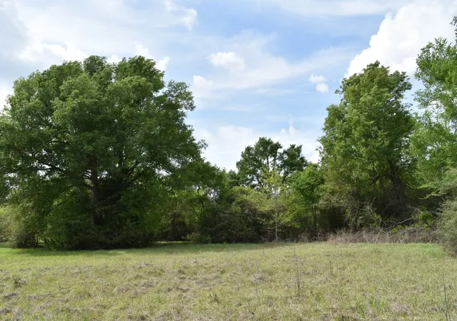 Photo 4 of Land for sale at Tbd Mitchell Rd, Kosse, TX 76653 | MLS# 21224252 | Listing updated on 2026-08-24