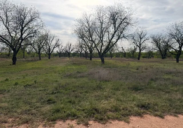 Homes for sale in Abilene, TX | 4050 Old Anson Rd, Abilene, TX 79601 | MLS# 21225620