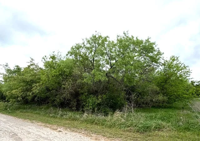 Homes for sale in Mingus, TX | Tbd Mcalister, Mingus, TX 76463 | MLS# 21224687