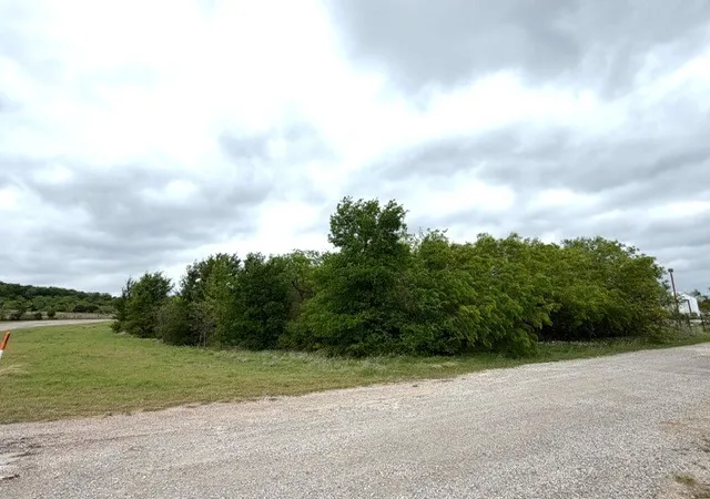 Homes for sale in Mingus, TX | Tbd Mcalister, Mingus, TX 76463 | MLS# 21224687