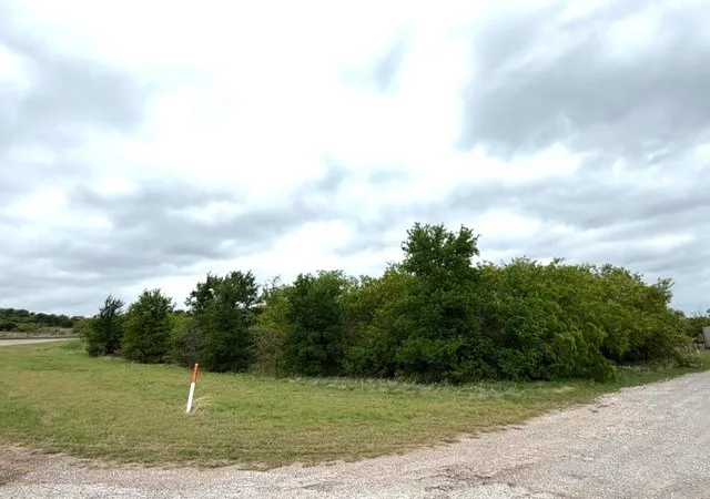 Homes for sale in Mingus, TX | Tbd Mcalister, Mingus, TX 76463 | MLS# 21224687