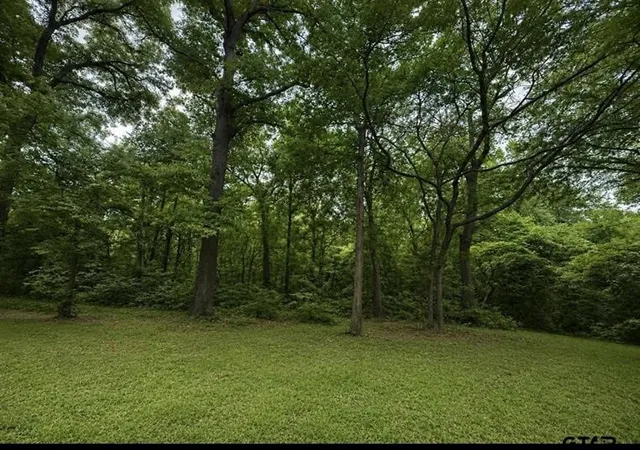 9th image of Tbd Cr 4510, Winnsboro, TX 75494 | MLS# 21226635