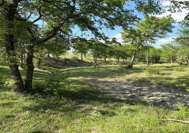 Homes for sale in Gustine, TX | Tbd Whitetail Springs Lane, Gustine, TX 76455 | MLS# 21222490