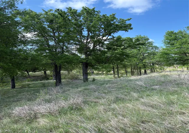 Homes for sale in Gustine, TX | Tbd Whitetail Springs Lane, Gustine, TX 76455 | MLS# 21222490