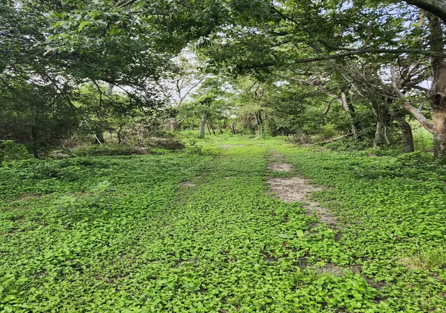 Photo 2 of Land for sale at 1202 Park St, Marlin, TX 76661 | MLS# 21226998 | Listing updated on 2026-08-12