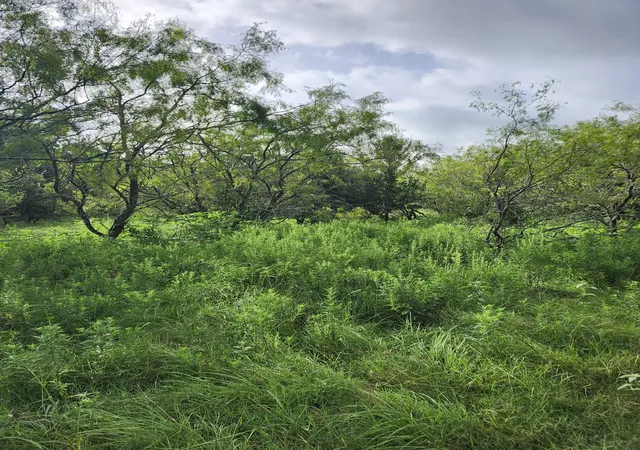 Photo 3 of Land for sale at 1202 Park St, Marlin, TX 76661 | MLS# 21226998 | Listing updated on 2026-08-12