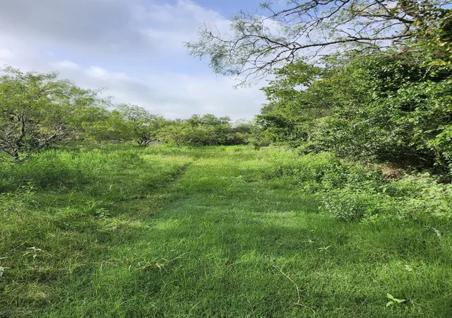 Photo 3 of Land for sale at 1202 Park St, Marlin, TX 76661 | MLS# 21226998 | Listing updated on 2026-08-12