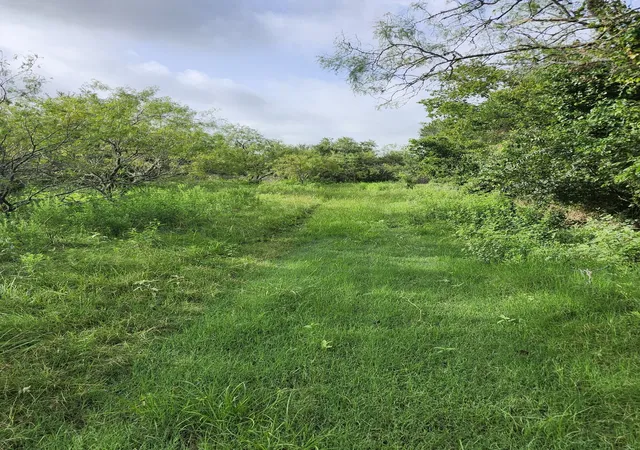 Photo 4 of Land for sale at 1202 Park St, Marlin, TX 76661 | MLS# 21226998 | Listing updated on 2026-08-12
