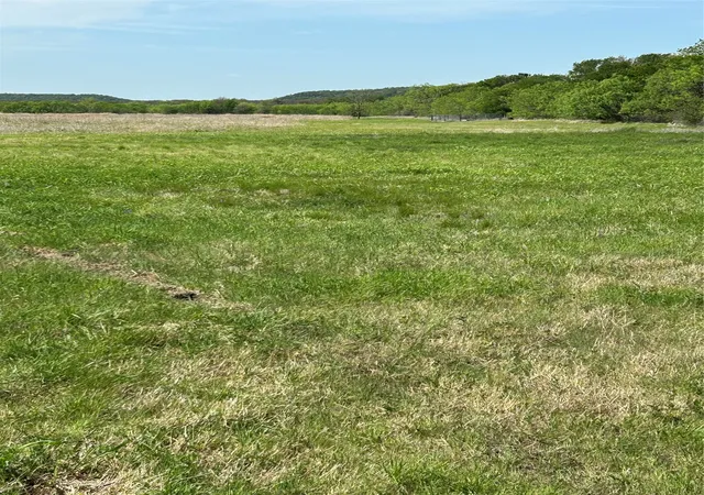 Homes for sale in Mingus, TX | 38295 N State Hwy 108, Mingus, TX 76463 | MLS# 21227149