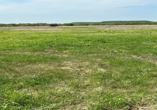 Homes for sale in Mingus, TX | 38295 N State Hwy 108, Mingus, TX 76463 | MLS# 21227149