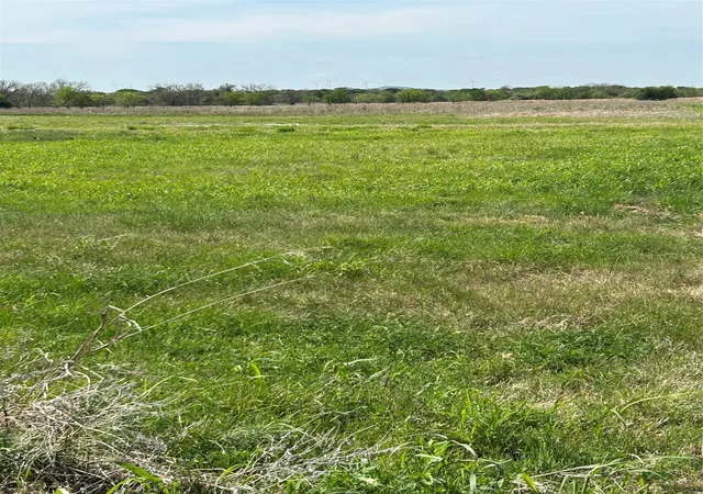 Homes for sale in Mingus, TX | 38295 N State Hwy 108, Mingus, TX 76463 | MLS# 21227149