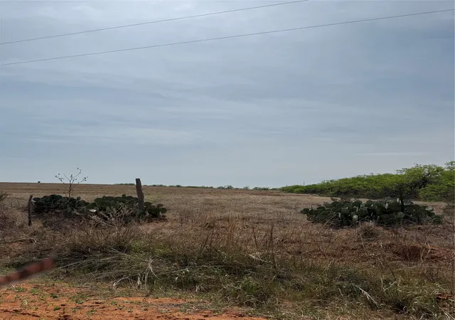Homes for sale in Sweetwater, TX | Tbd Cr 113, Sweetwater, TX 79556 | MLS# 21227240