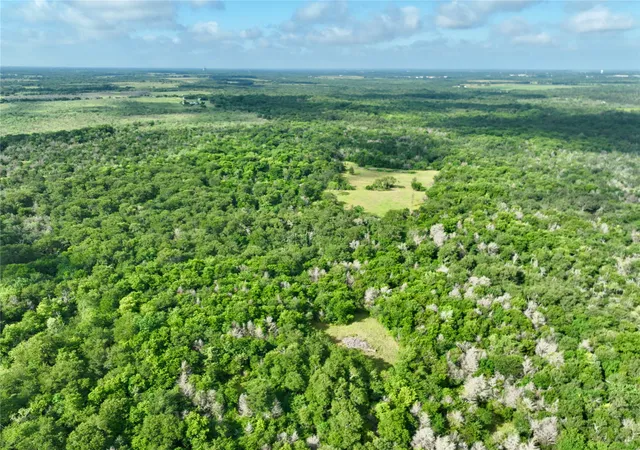 Photo 40 of Land for sale at Tbd 2135 Acs Fcr 984, Mexia, TX 76667 | MLS# 21227290 | Listing updated on 2026-08-25