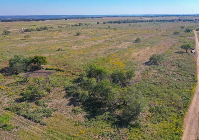 Homes for sale in Jacksboro, TX | 1696 Acres 199 Hwy, Jacksboro, TX 76458 | MLS# 21228384