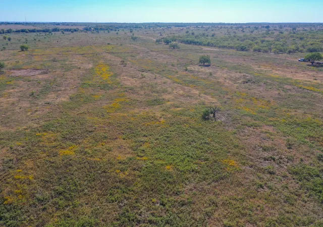 Homes for sale in Jacksboro, TX | 1696 Acres 199 Hwy, Jacksboro, TX 76458 | MLS# 21228384