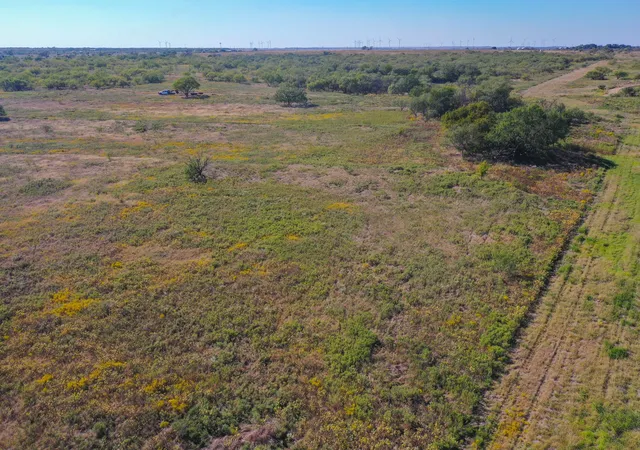 Homes for sale in Jacksboro, TX | 1696 Acres 199 Hwy, Jacksboro, TX 76458 | MLS# 21228384